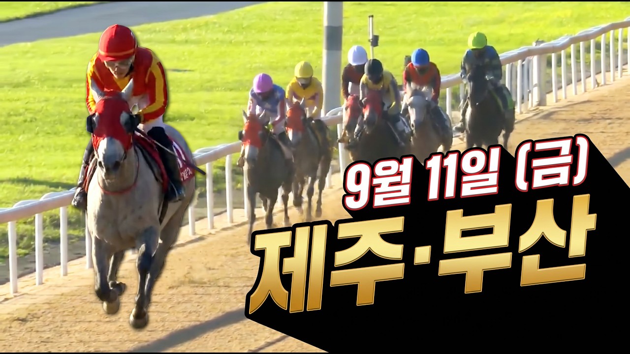 [ 2026년 9월 11일 금요(제주.부산)경마~!]