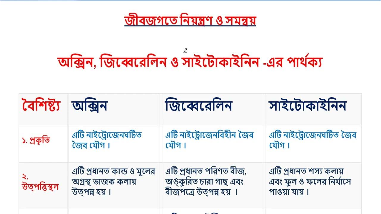 Neylon külotlu çoraplarda onlayn porno