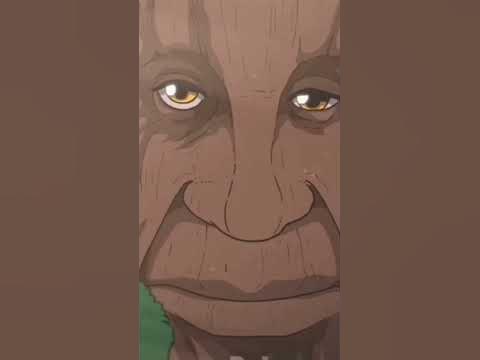 Мудре Дерево - YouTube