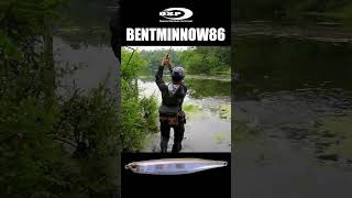 ベントミノー86で表層バイト！ #バスフィッシング #バス釣り