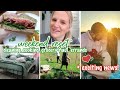 Weekend reset  cooking cleaning grocery haul errands  exciting news