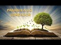 A Parábola Do Semeador  #paraboladosemeador #oração #luzespoéticas 