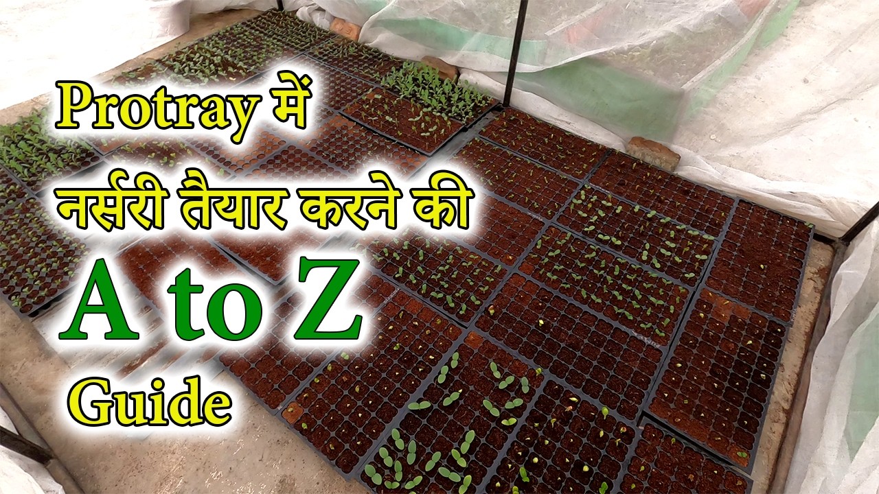 प्रोफेशनल नर्सरी वाले ये तरीका अपनाते हैं! | A to Z Nursery Setup