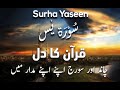 Introduction to surah yasin  the heart of the quran  faroughedeen