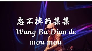 任夏 - 忘不掉的某某  Wang Bu Diao de mou mou (DJEva版)  (Remix Tiktok) - || Hot Tiktok Douyin.lagu Mandarin.