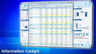 HIFLEX MIS (EN) screenshot 5