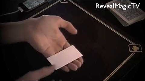 Printed : Business Card Magic - Magic Tricks REVEALED