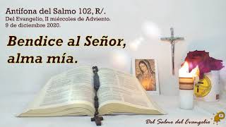 Video voorbeeld van "Antífona del Salmo 102, Bendice al Señor, alma mía."