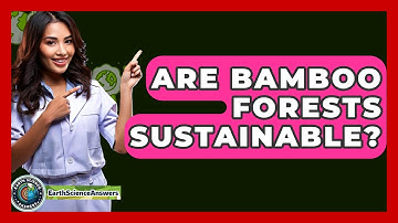 Are Bamboo Forests Sustainable? - Earth Science Answers