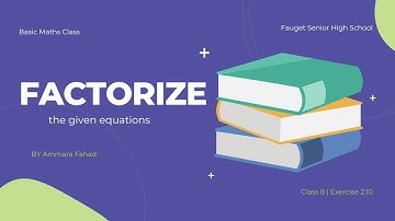 Factorize the given equation / Class 8 / Chapter 2 / Exercise 2.10