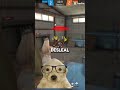 que es la traición #paratiiiii #freefire #fershuuroblox #freefirelovers #viralhort #trite #pfypシ