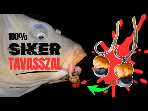 HOL és HOGYAN érdemes elkezdeni a horgászszezont? Így GARANTÁLT a siker!🌱🎣🐳✅