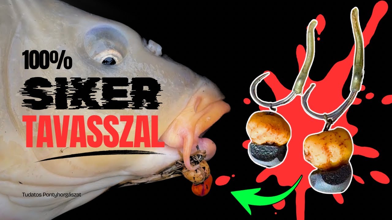 HOL és HOGYAN érdemes elkezdeni a horgászszezont? Így GARANTÁLT a siker!🌱🎣🐳✅