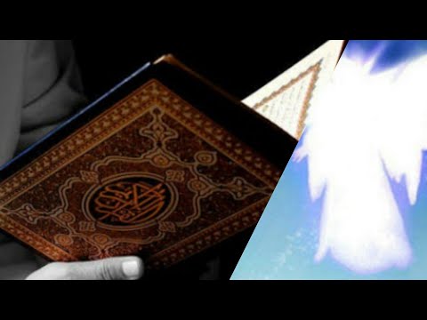 Video: Müqəddəs Kitabın harasında zəhmətinizin boşa getmədiyi deyilir?