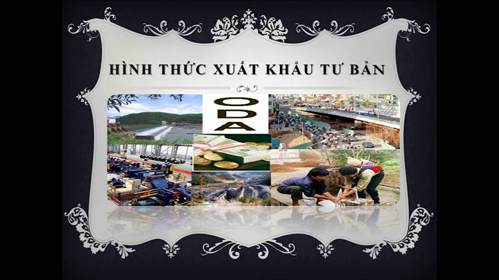 Xuất khẩu hàng hóa và xuất khẩu tư bản năm 2024