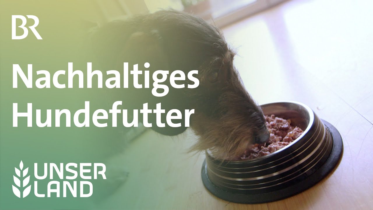 Nachhaltig hergestellt und goood: Mit Hundefutter die Welt retten? | Unser Land | BR Fernsehen