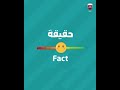 ‎حقيقة أم خرافة Myth or Fact