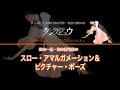 【2015年2月号】鈴木一朗・鈴木愛弓組「スロー・フォックストロット&ピクチャー・ポーズ」