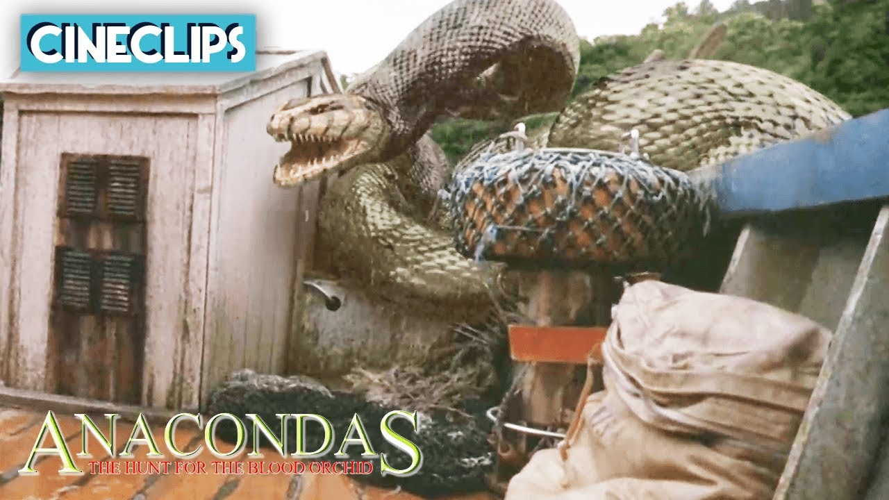 Anaconda Boat Attack Anacondas The Hunt For The Blood Orchid YouTube