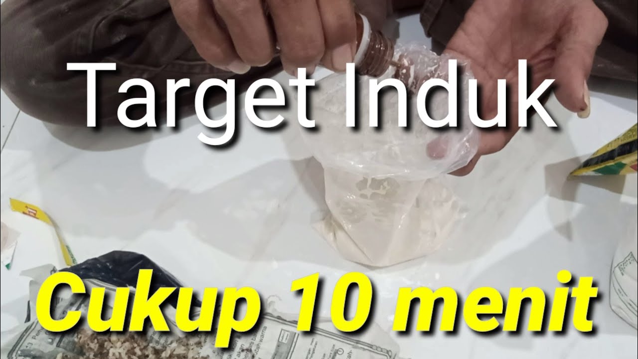 RAHASIA UMPAN TARGET INDUK IKAN MAS