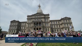 MI House GOP introduce pro-life bill package