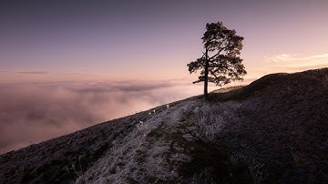 من تلاوات يوسف الصقير - سورة الصافات - أجمل تلاوات