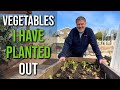 What I Have Been Up To In The Garden | Allotment Garden Jobs For April