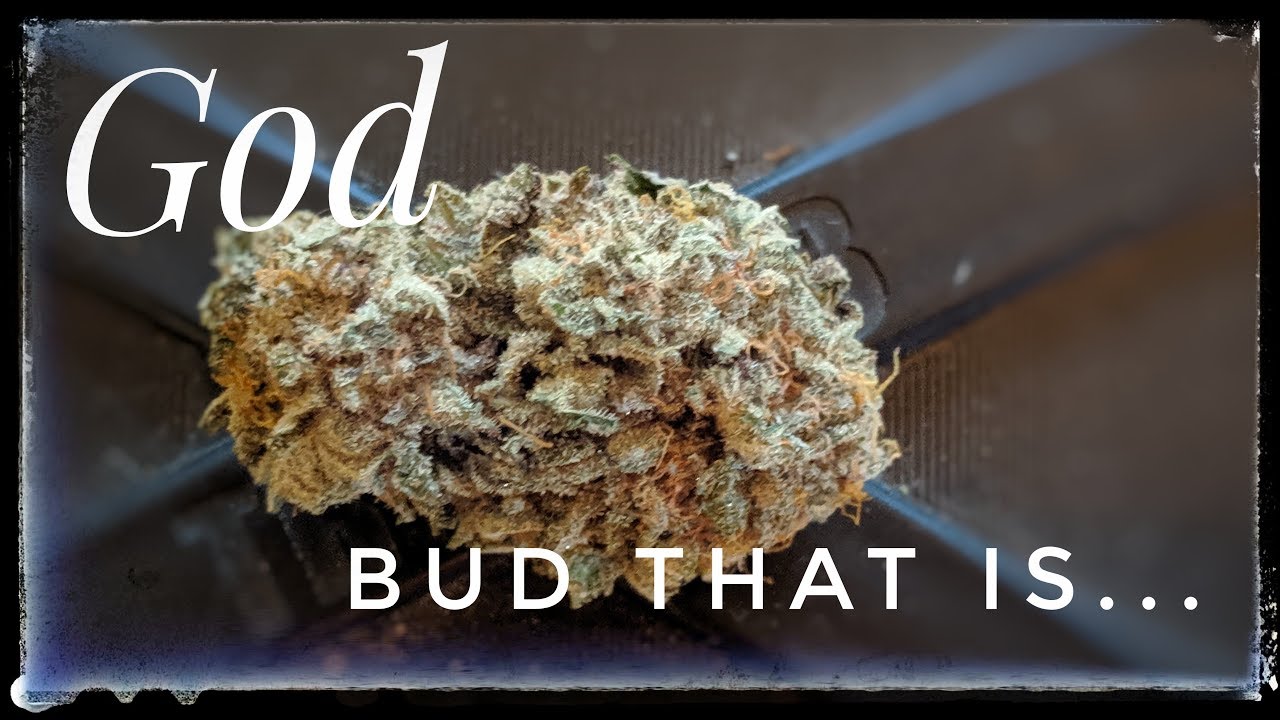 Hippie Reviews God - Bud that is
