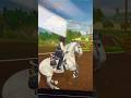 Wie findet ihr mein Outfit?😊 #sso #starstable #outfitcheck #shortsvideo #viral #explore #equestrian
