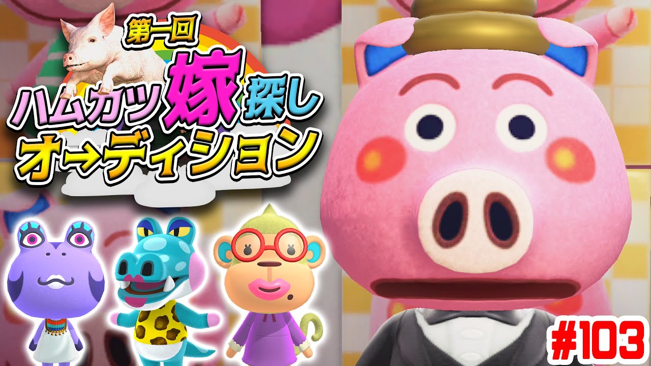 9人の美女から花嫁を選べ‼ ハムカツ嫁探しオーディション‼＃103【あつまれどうぶつの森】
