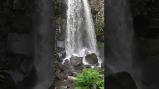 Melincourt waterfalls 2019 06 13 #2