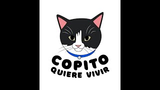 Amigos de Copito (Parte 1) by Copito Quiere Vivir 668 views 4 years ago 12 minutes, 16 seconds