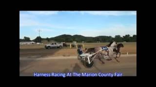 Harness Racing At The Marion County Fair 2016 Part Four