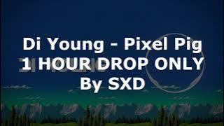 Di Young - Pixel Pig 1 HOUR DROP ONLY