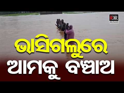 ଭାସିଗଲୁରେ ଆମକୁ ବଞ୍ଚାଅ | Odisha Reporter