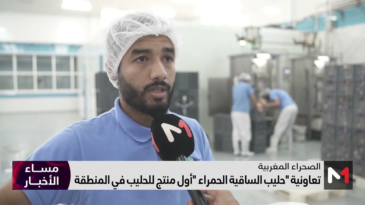 تعاونية #حليب_الساقية_الحمراء .. أول منتج للحليب في المنطقة