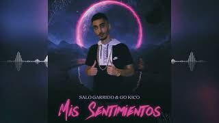 Salo Garrido - Mis Sentimientos 2022 (Audio Oficial)