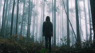 UserN - Forest [Future Garage] @talldragon