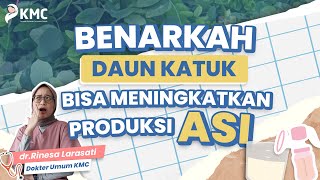 KATUK LEAVES TO BOOST BREAST MILK? with dr. Ines