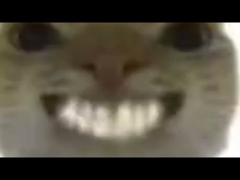 Minecraft Fet Hands (#ratcat 100k special)