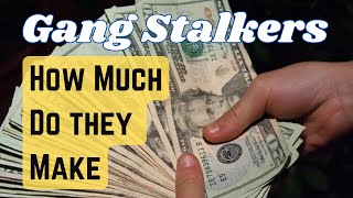 Gang Stalking - How Much Does a Stalker Earn - Organized Stalker screenshot 4