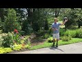 Une promenade dans le jardin de philip watson avec le sac