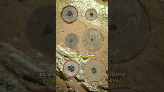 NASA are bringing that Mars Alien sample back to Earth!