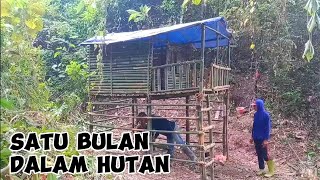 CAMPING BUSHCRAFT RAME-RAME MEMBANGUN SHELTER DI HUTAN BELANTARA#survival