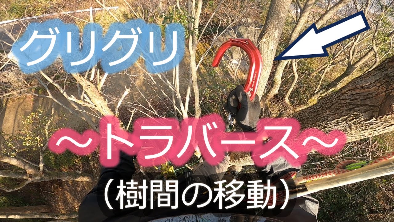 デッドアイスリグ 4mアーボリスト ツリークライミング 空師 デッドアイスリグ 4mアーボリスト ツリークライミング 空師