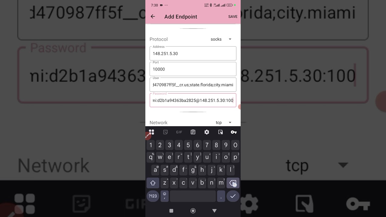 How to add proxy/socks from Dataimpulse into kitsunebi and connect