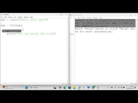 GCSE Level Programming Essentials - Basics - Age Verification