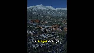 They thought they got away with it for 40 years.