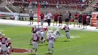 2015 Stanford Cardinal and White Spring Game