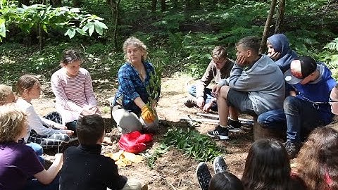 How to Make Nettle Cordage Clip)